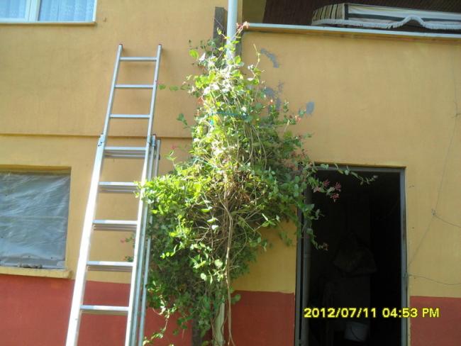 Name:  058.jpg
Views: 406
Size:  44.4 KB