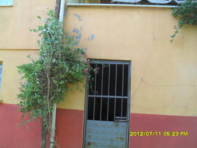 Name:  064.jpg
Views: 429
Size:  38.9 KB