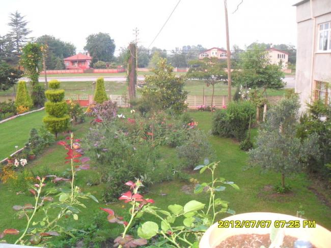 Name:  018.jpg
Views: 401
Size:  58.4 KB