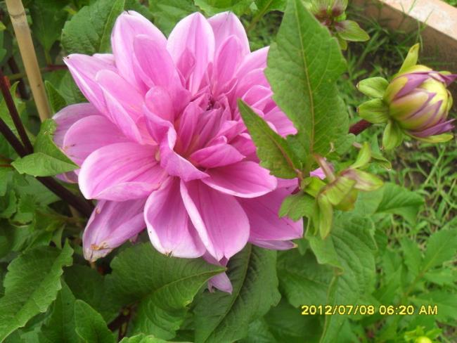 Name:  024.jpg
Views: 403
Size:  51.2 KB