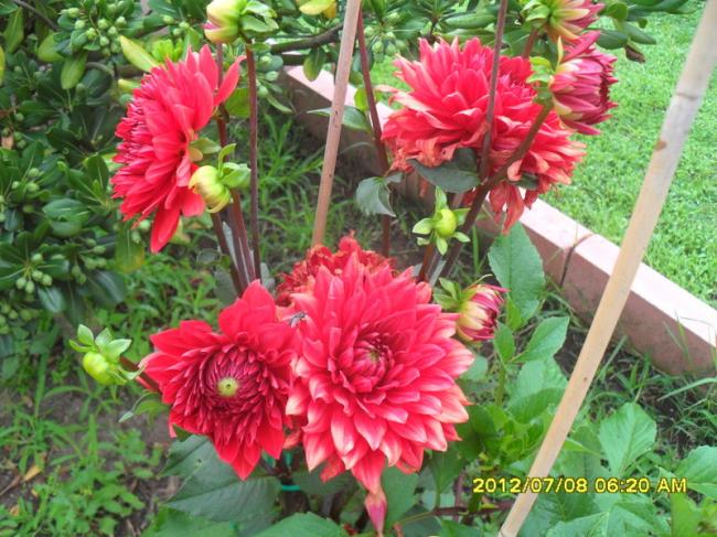 Name:  025.jpg
Views: 429
Size:  70.1 KB