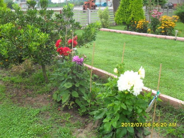 Name:  026.jpg
Views: 401
Size:  70.5 KB