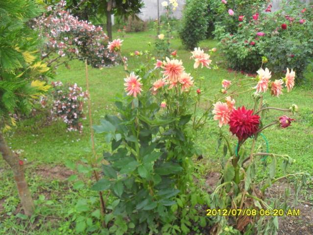 Name:  027.jpg
Views: 417
Size:  70.0 KB