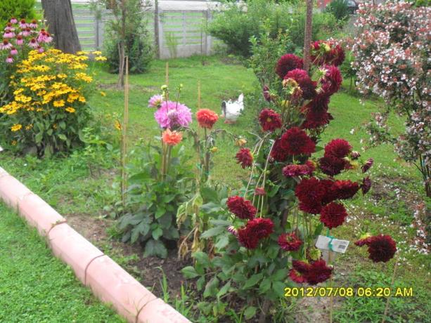 Name:  028.jpg
Views: 424
Size:  71.3 KB