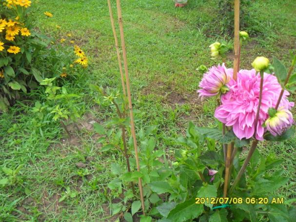Name:  029.jpg
Views: 416
Size:  71.1 KB