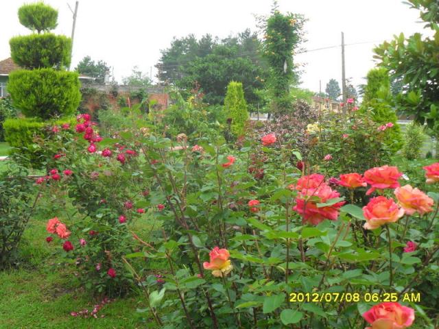 Name:  032.jpg
Views: 427
Size:  70.0 KB