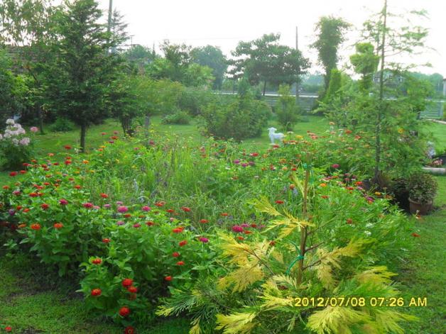 Name:  034.jpg
Views: 421
Size:  70.6 KB