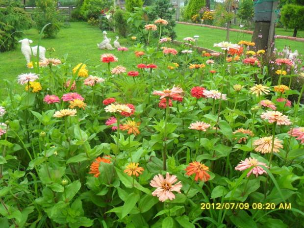 Name:  099.jpg
Views: 411
Size:  71.5 KB