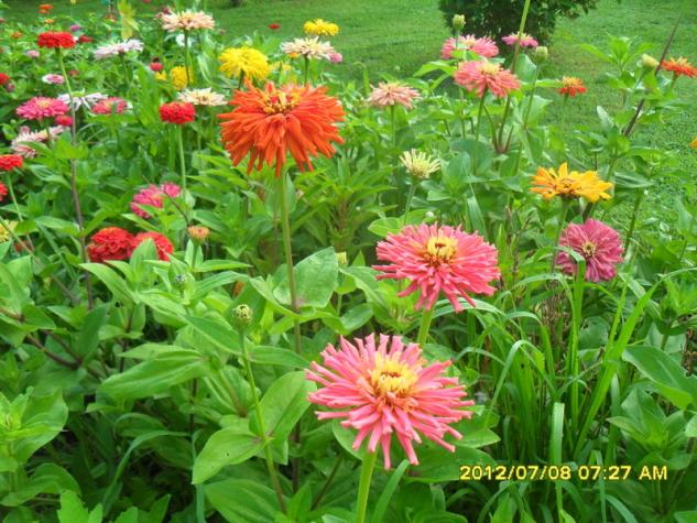 Name:  039.jpg
Views: 424
Size:  71.2 KB
