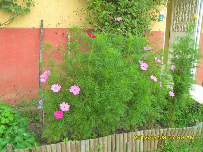 Name:  048.jpg
Views: 431
Size:  70.1 KB