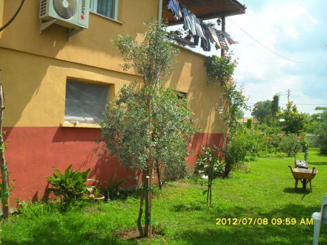 Name:  051.jpg
Views: 426
Size:  62.3 KB