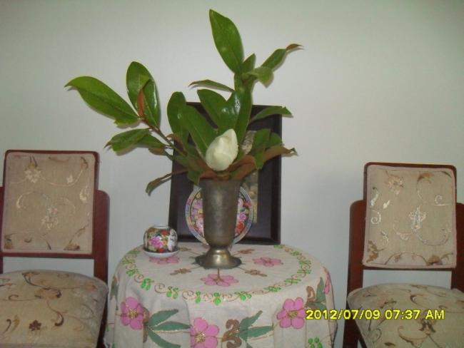 Name:  056.jpg
Views: 473
Size:  33.4 KB