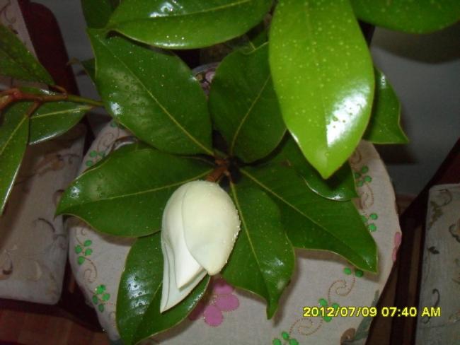 Name:  069.jpg
Views: 477
Size:  36.7 KB