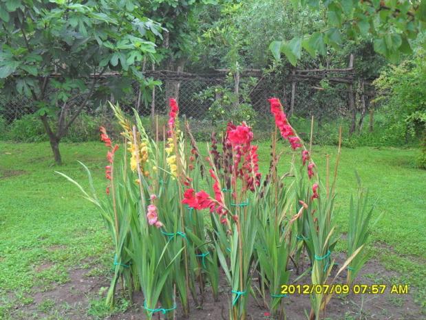 Name:  075.jpg
Views: 527
Size:  70.4 KB