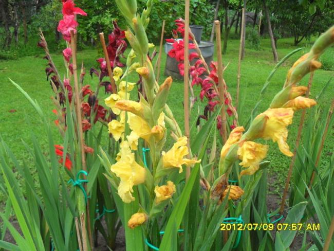 Name:  076.jpg
Views: 519
Size:  65.1 KB