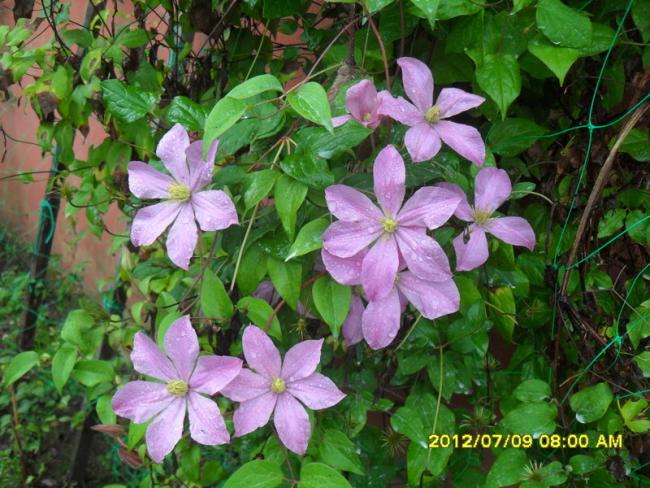Name:  091.jpg
Views: 1034
Size:  67.3 KB