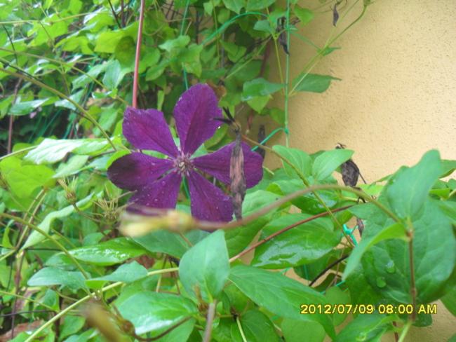Name:  092.jpg
Views: 808
Size:  54.2 KB