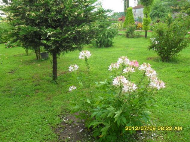 Name:  107.jpg
Views: 828
Size:  70.5 KB