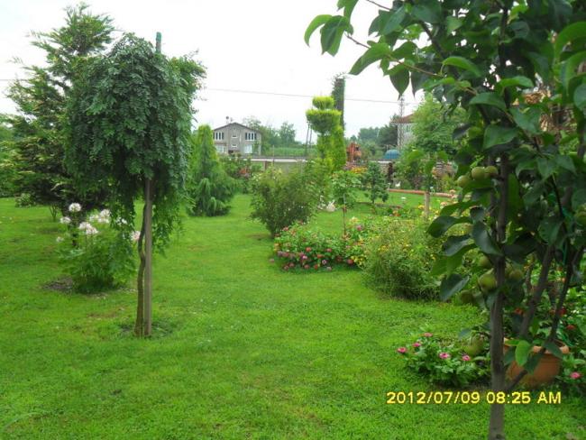 Name:  121.jpg
Views: 729
Size:  64.6 KB