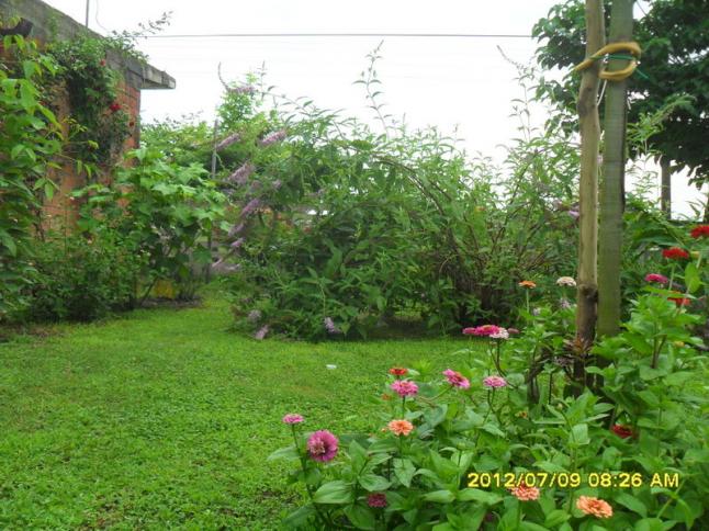 Name:  129.jpg
Views: 735
Size:  70.5 KB