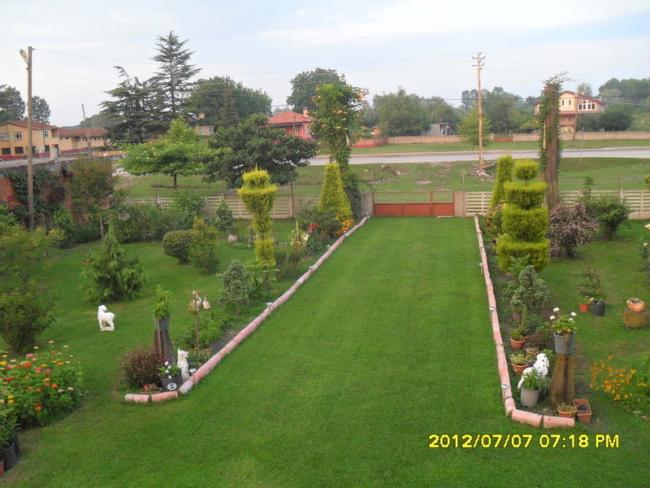 Name:  Yeil yol.jpg
Views: 918
Size:  50.6 KB