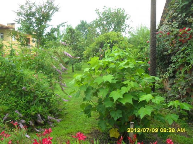 Name:  142.jpg
Views: 804
Size:  70.7 KB