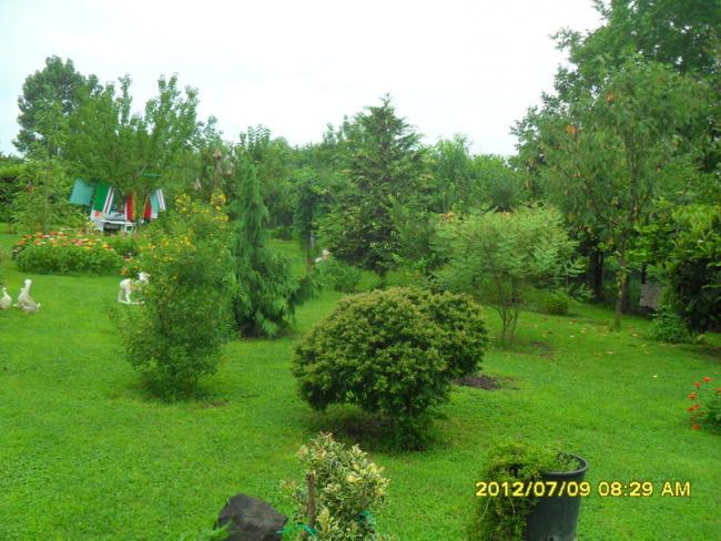 Name:  154.jpg
Views: 730
Size:  60.8 KB