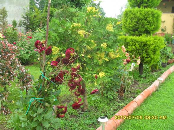 Name:  166.jpg
Views: 796
Size:  71.8 KB