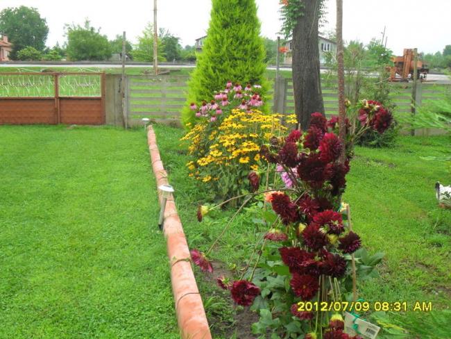 Name:  173.jpg
Views: 786
Size:  69.7 KB