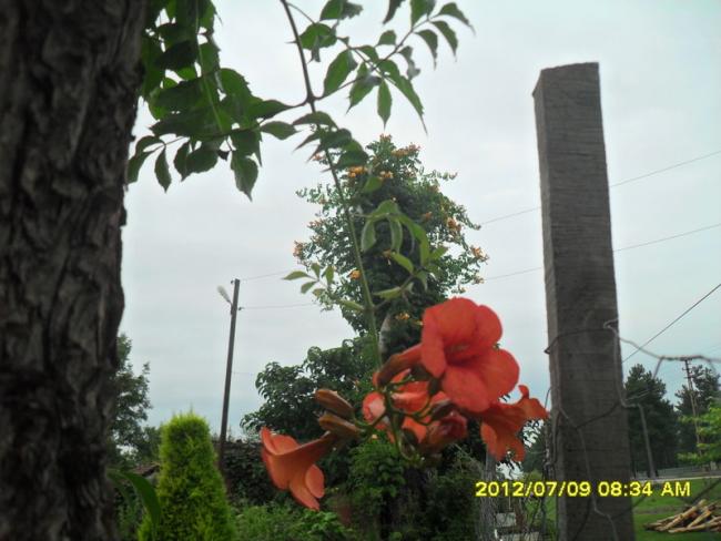 Name:  191.jpg
Views: 720
Size:  45.4 KB