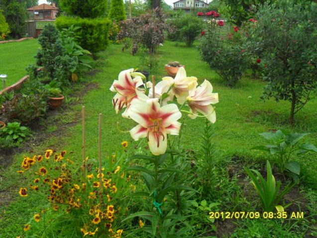 Name:  198.jpg
Views: 717
Size:  70.4 KB