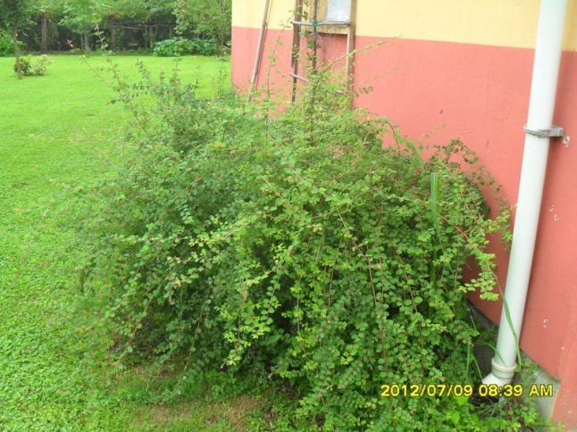 Name:  234.jpg
Views: 818
Size:  70.5 KB