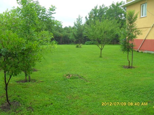Name:  241.jpg
Views: 670
Size:  63.7 KB