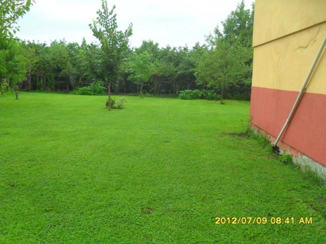 Name:  254.jpg
Views: 714
Size:  54.3 KB