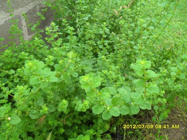 Name:  248.jpg
Views: 1115
Size:  71.0 KB