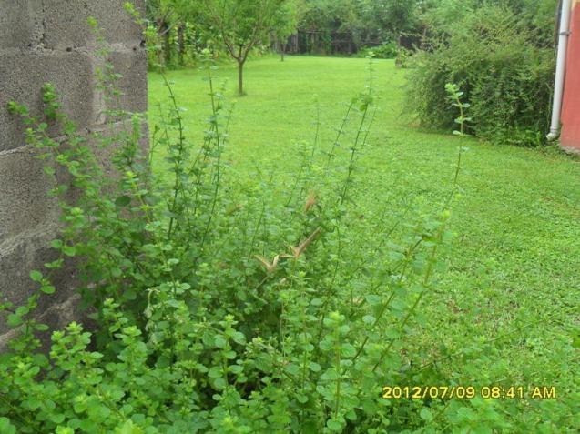 Name:  249.jpg
Views: 819
Size:  70.1 KB