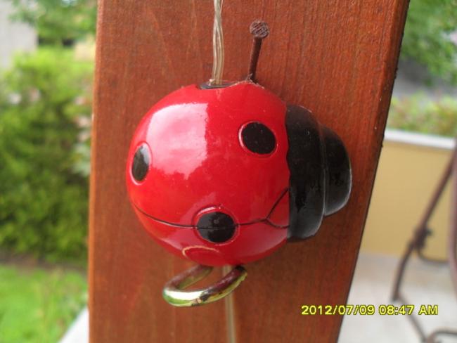 Name:  271.jpg
Views: 676
Size:  33.5 KB
