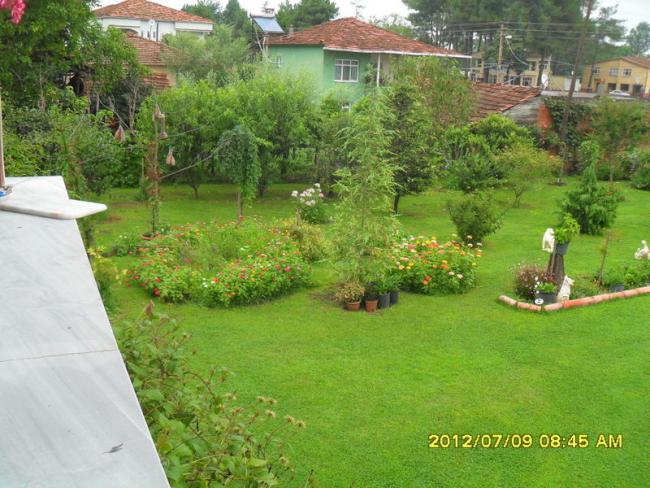 Name:  267.jpg
Views: 792
Size:  64.7 KB