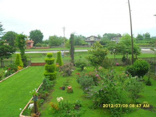 Name:  274.jpg
Views: 772
Size:  50.2 KB
