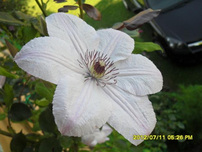 Name:  068.jpg
Views: 858
Size:  38.6 KB