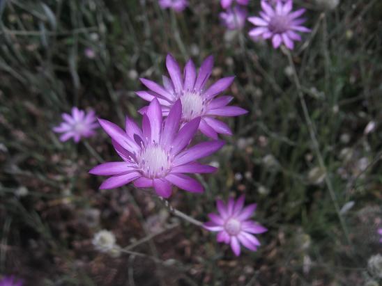 Name:  kr ..JPG
Views: 1297
Size:  43.5 KB