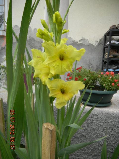 Name:  DSCN1987.jpg
Views: 605
Size:  46.7 KB