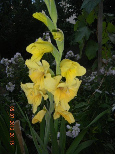 Name:  DSCN2007.jpg
Views: 525
Size:  42.2 KB
