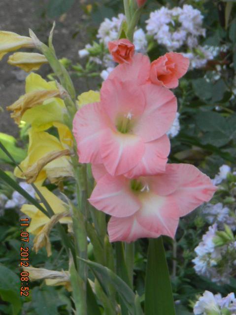 Name:  DSCN2117.jpg
Views: 522
Size:  40.0 KB