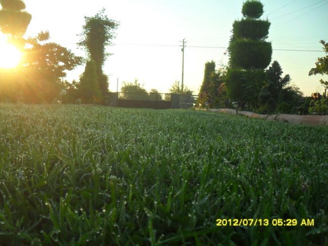 Name:  004.jpg
Views: 813
Size:  47.4 KB