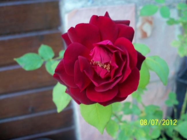 Name:  100_8617.jpg
Views: 519
Size:  27.9 KB