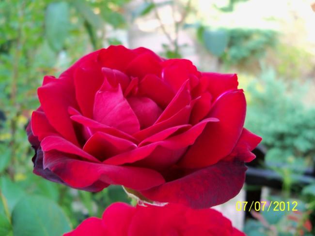 Name:  100_8501.jpg
Views: 529
Size:  32.5 KB