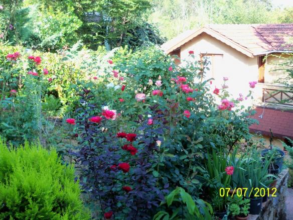 Name:  100_8439.jpg
Views: 519
Size:  71.8 KB