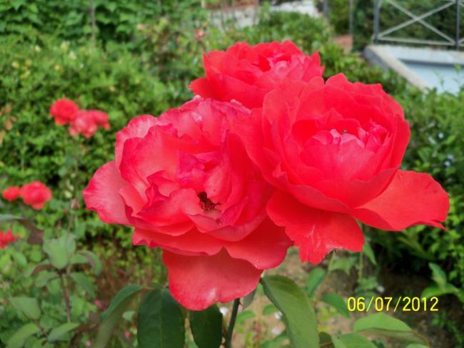 Name:  100_8300.jpg
Views: 510
Size:  45.8 KB