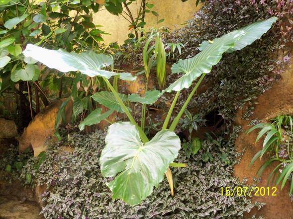 Name:  100_9066.jpg
Views: 455
Size:  72.2 KB